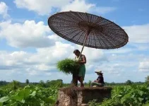 modelo produtivo catarinense