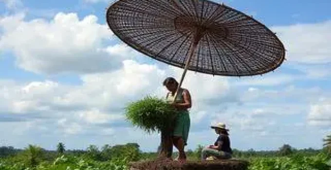 modelo produtivo catarinense