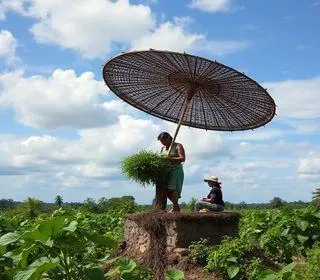 modelo produtivo catarinense