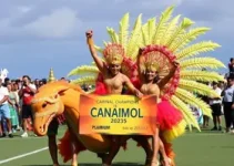 Bole Bole tetracampeã Carnaval de Belém