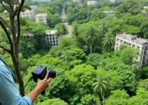 Embrapa abre floresta urbana em Belém para observação científica da biodiversidade