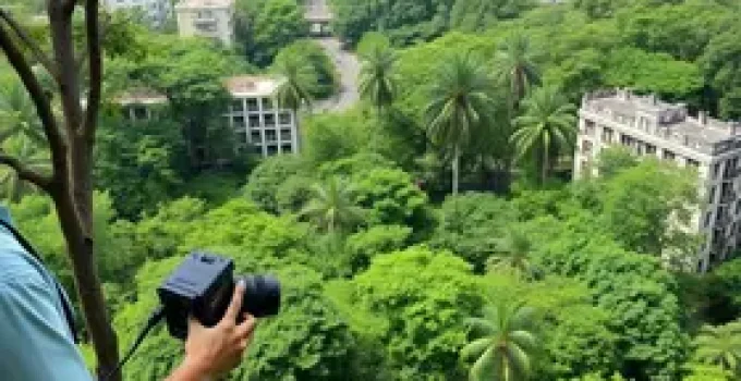 Embrapa abre floresta urbana em Belém para observação científica da biodiversidade