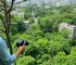 Embrapa abre floresta urbana em Belém para observação científica da biodiversidade