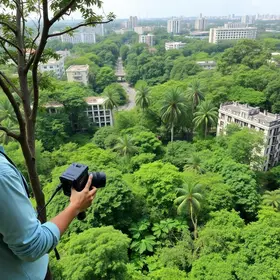 Embrapa abre floresta urbana em Belém para observação científica da biodiversidade