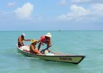 Política de Acordos de Pesca do Pará