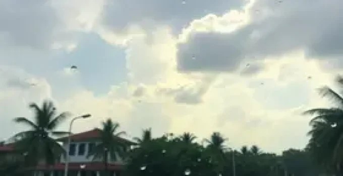 previsão do tempo no Pará