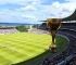 Copa Brasil