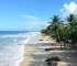 feriado de adesão do Pará