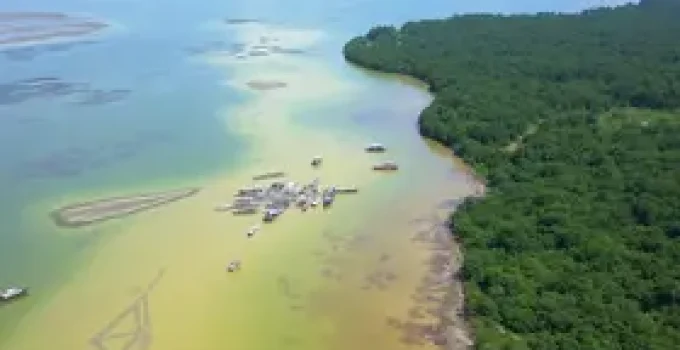 bacia hidrográfica Belém