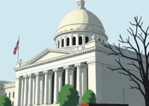ensino do direito constitucional