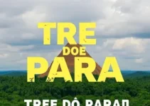 Corrida pela Democracia