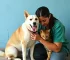 atendimento veterinário gratuito no Jurunas