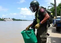 Defensoria do Amazonas
