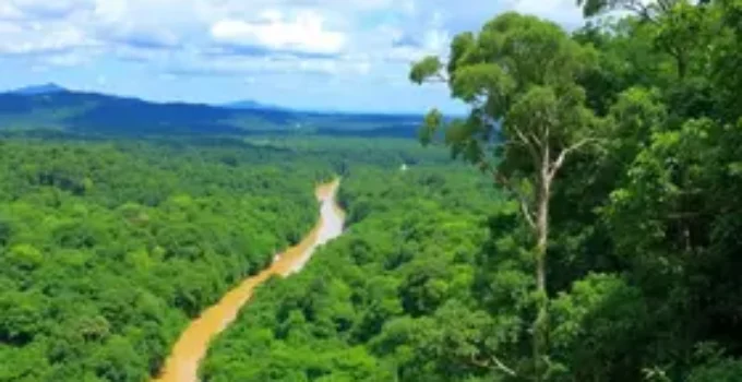 Trilha Amazônia Atlântica