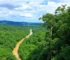 Trilha Amazônia Atlântica