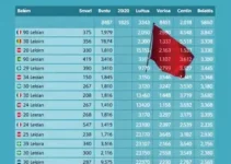 eleições 2026 em Belém (PA)